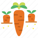 carrot, diet, food, vegetable