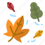 autumn, fall, leaf, dry, foliage 