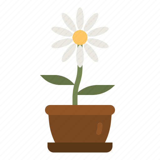 Daisy, flower, botanical, blossom, jar icon - Download on Iconfinder