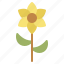 daffodil, spring, petal, narcissus, floral, garden, nature, blossom, flower 
