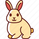 bunny, rabbit, easter, cute, animal, mammal, holiday