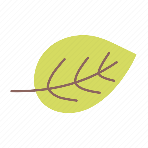 Leaf, nature, plant, spring icon - Download on Iconfinder