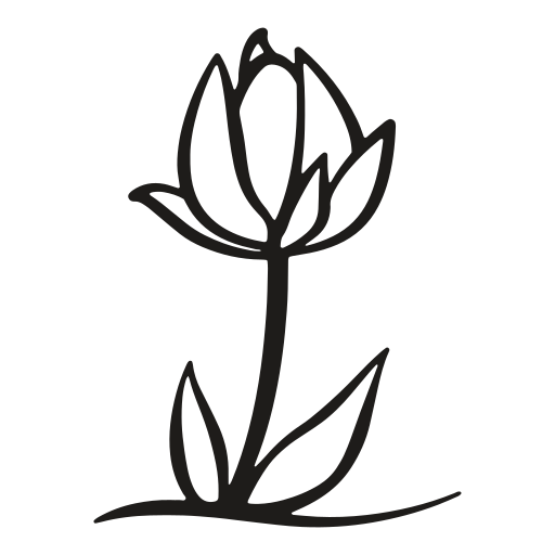 Flower, growth, leaf, nature, petals, plant, tulip icon - Free download