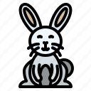 easterday, bunny, rabbit, easter, animal, hare, pet