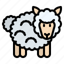 easterday, sheep, animal, farm, goat, wool