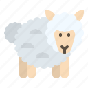 easterday, sheep, animal, farm, goat, wool