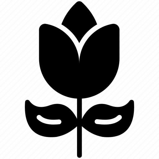 Rose, flower, plant, nature, leaf, garden icon - Download on Iconfinder