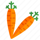 carrot, cooking, food, fruit, kitchen, restaurant, vegetable 