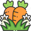 carrot, easter, healthy food, organic, vegan 