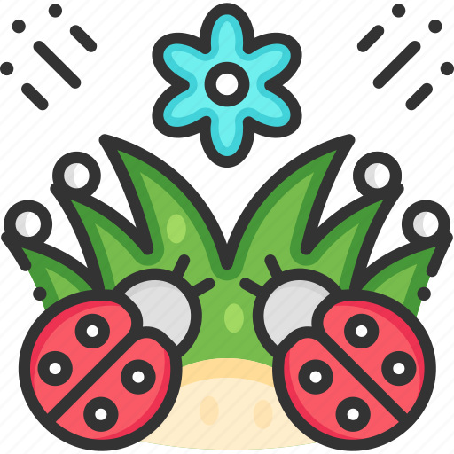 Bug, insect, ladybird, ladybug icon - Download on Iconfinder