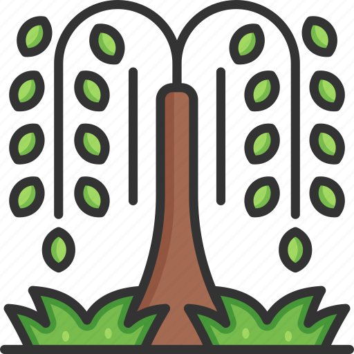Botanical, ecology, tree, weeping willow, willow icon - Download on Iconfinder