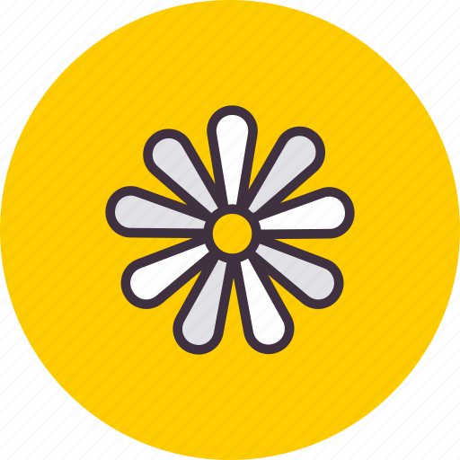 Chamomile, easter, flower, spring, bloom, floral, garden icon - Download on Iconfinder