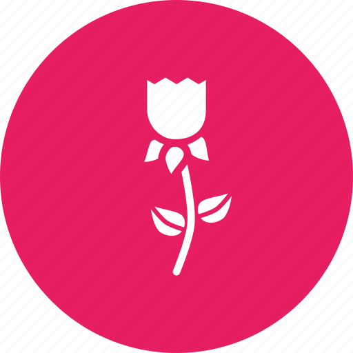 Easter, flower, nature, plant, rose, spring, hygge icon - Download on Iconfinder