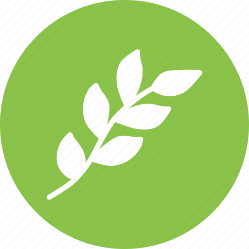 Branch, decoration, leaf, leaves, nature, plant, spring icon - Download on Iconfinder
