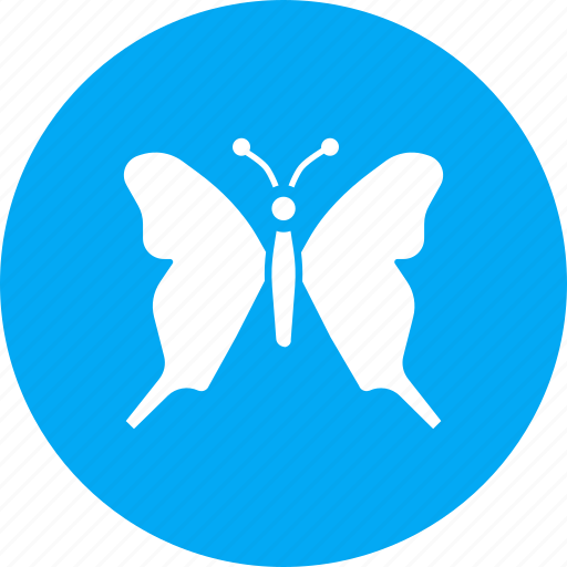 Beauty, butterfly, colorful, easter, insect, nature icon - Download on Iconfinder