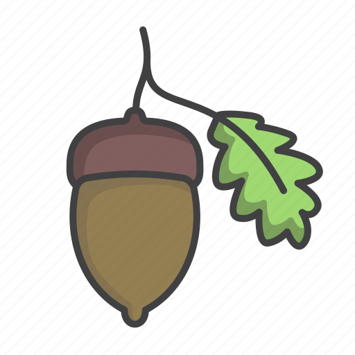 Acorn, autumn, botanical, garden, leaf, plant icon - Download on Iconfinder