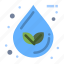 drop, eco, ecology, leaf, water 