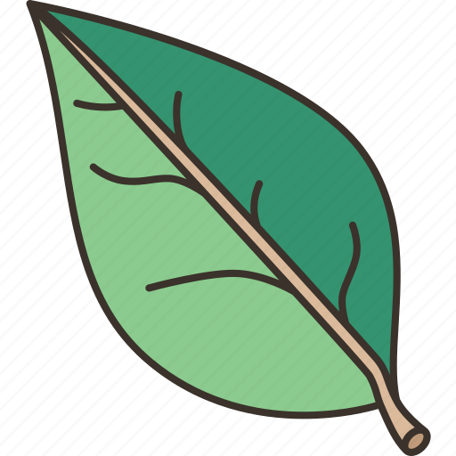 Leaf, nature, plant, environmental, organic icon - Download on Iconfinder