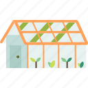 greenhouse, cultivation, farm, production, horticulture