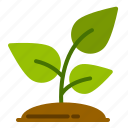 plant, tree, leaf, garden, ecology, eco