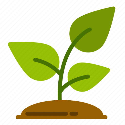 Plant, tree, leaf, garden, ecology, eco icon - Download on Iconfinder