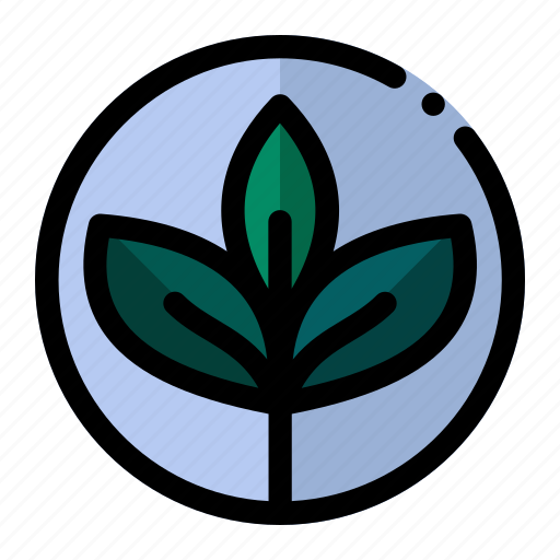 Leaf, nature, plant, green, ecology icon - Download on Iconfinder