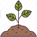 sprout, tree, joshua, gardening, farm, seed, grow, nature