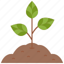 sprout, tree, joshua, gardening, grow, farming, nature