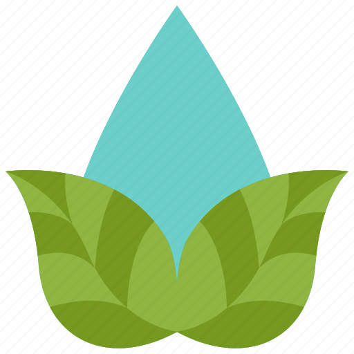 Water, leaf, sustainability, plant, leaves, ecology, drop icon - Download on Iconfinder