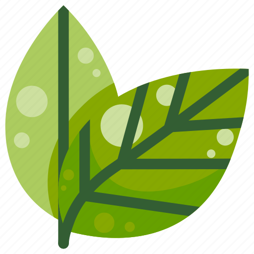 Eco, ecology, leaf, leaves, nature, two icon - Download on Iconfinder