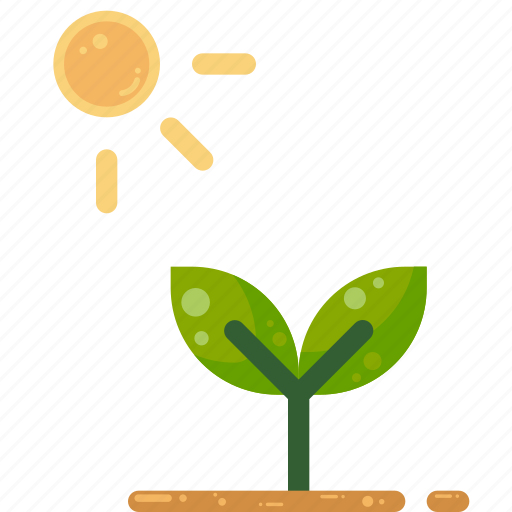 Growth, nature, photosynthesis, plant, sprout icon - Download on Iconfinder