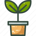 flowerpot, garden, leaf, plant, sapling, seeding, sprout