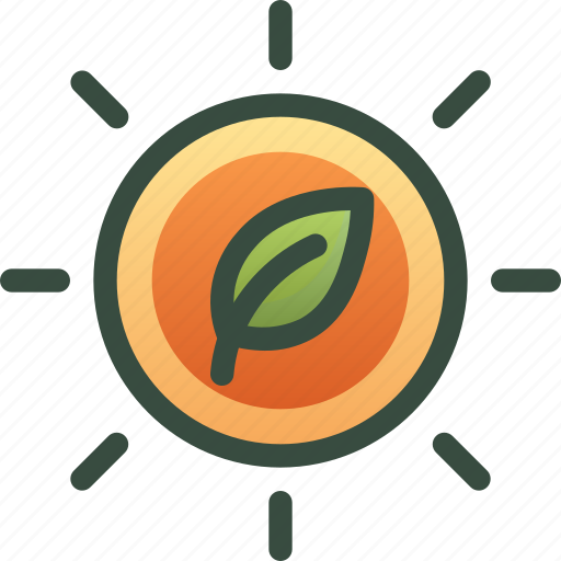 Leaf, light, photosynthesis, plant, solar, sun icon - Download on Iconfinder