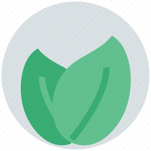 Biology, environment, freshness, leafs, organic, plant icon - Download on Iconfinder
