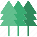 fir trees, forest, greenery, jungle, larch, nature, three, trees