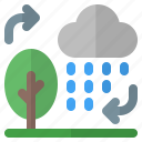 ecosystem, tree, cloud, rain, weather