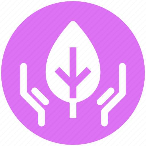 Conservation, ecology, environment, leaf, nature, plant, recycling icon - Download on Iconfinder
