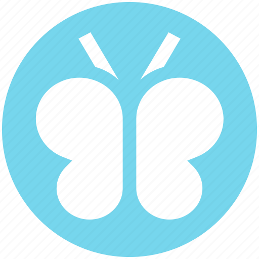 Butterfly, cute, eco, ecology, environment, fly, insect icon - Download on Iconfinder
