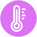 eco, ecology, energy, environment, green, nature, thermometer