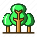 trees, tree, ecology, plant, forest, nature
