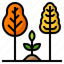 ecology, forest, grow, plant, tree