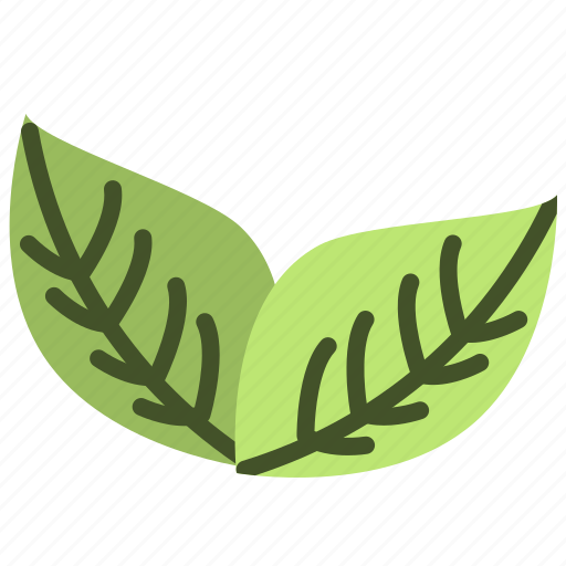 Ecology, leaf, nature, plant, green, eco, environment icon - Download on Iconfinder