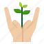 care, ecology, forest, hand, plant 