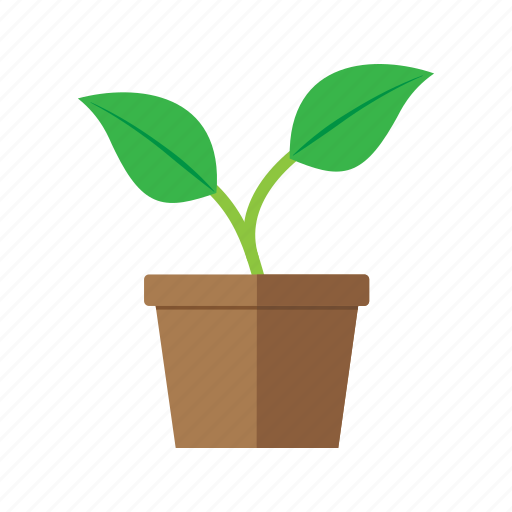 Branches, leaves, plant, pot icon - Download on Iconfinder