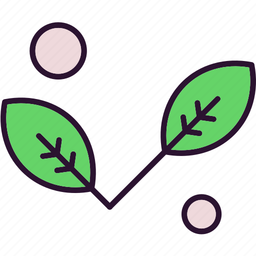 Leaf, leave, nature, plant icon - Download on Iconfinder