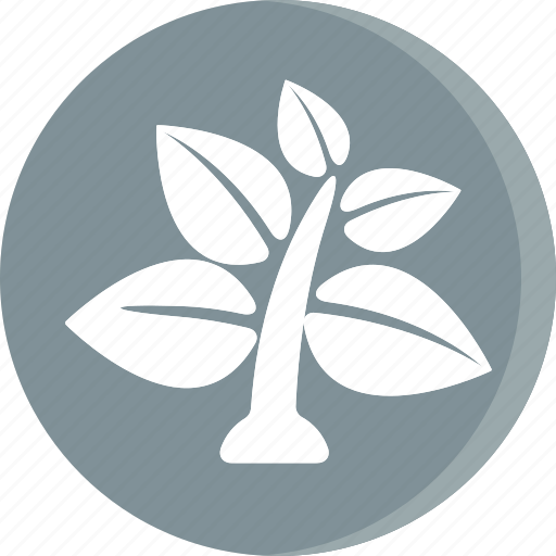 Ecological, ecology, energy, environment, power, leaf, tree icon - Download on Iconfinder