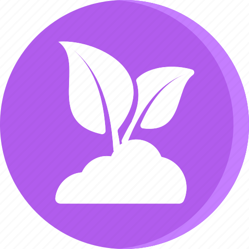 Ecological, ecology, energy, environment, green, power, sprout icon - Download on Iconfinder