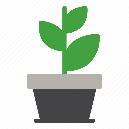 Plant, growth, ecology, green, nature icon - Download on Iconfinder
