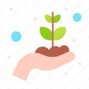 growth, hand, money, plant