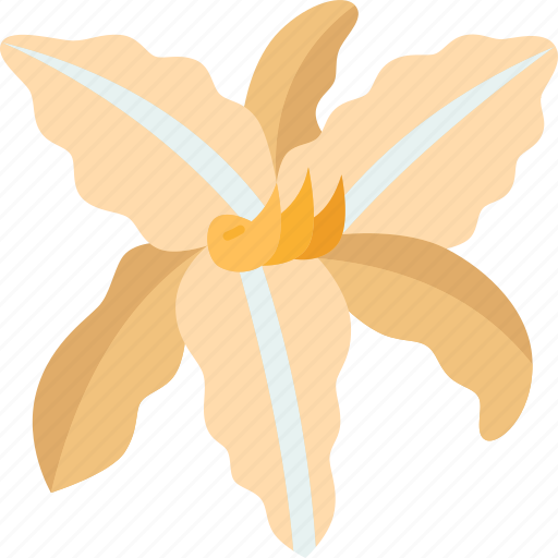 Daylily, flower, blossom, botanical, beauty icon - Download on Iconfinder